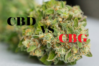 CBD vs CBG : Quelle est la différence et pourquoi est-ce important ?